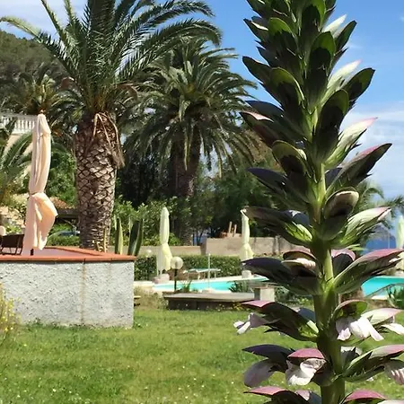 Hotel Romana 3*
